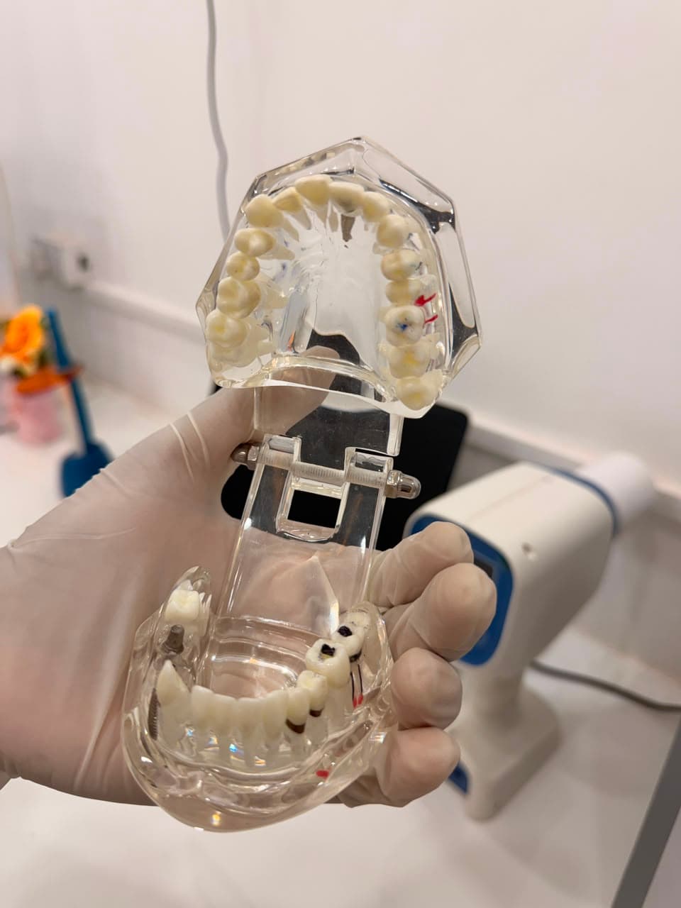 Dental Expertise