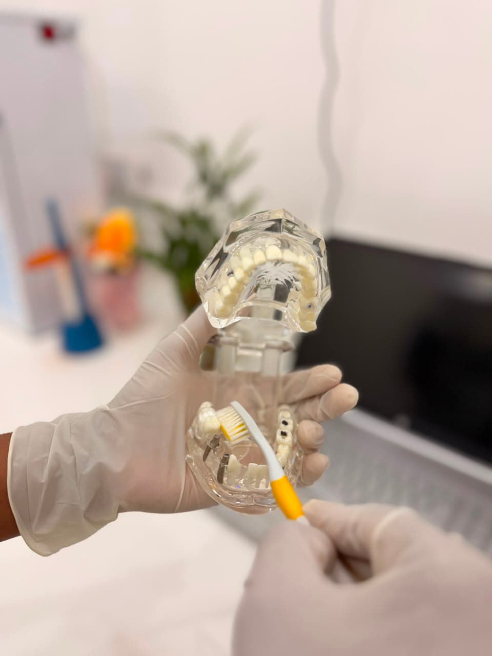 Expert Dentistry